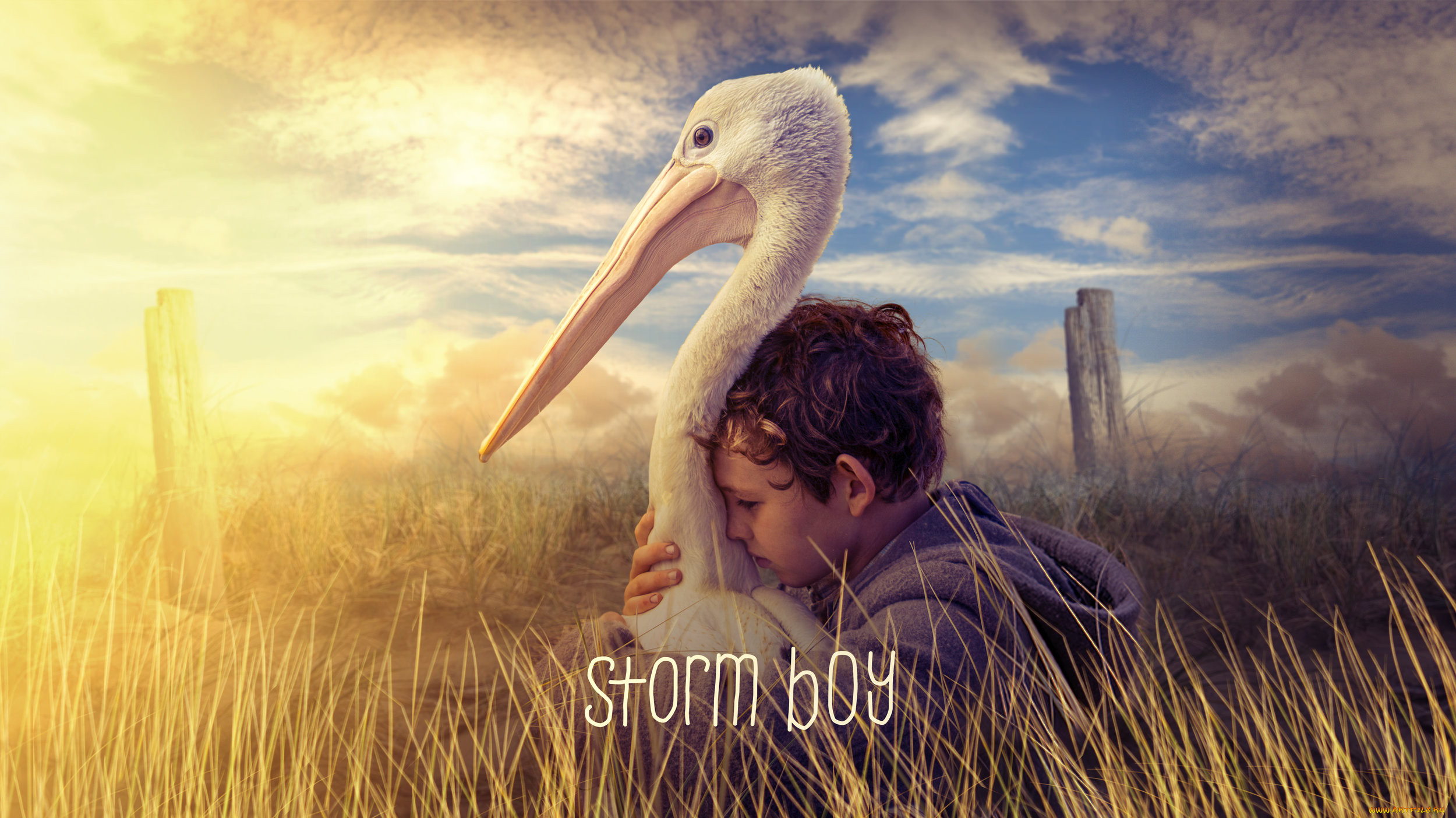 storm boy,  , -unknown , , storm, boy